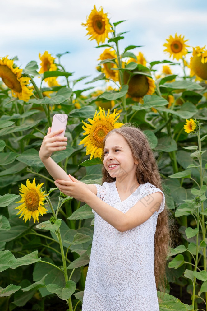 女孩使自拍智能手机与微笑她的脸对的背景场向日葵照片的背景的场女孩使自拍智能手机与微笑她的脸对的背景场向日葵