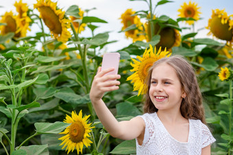 女孩使自拍智能手机与微笑她的脸对的背景场向日葵照片的背景的场女孩使自拍智能手机与微笑她的脸对的背景场向日葵