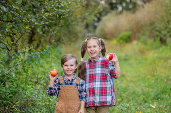 肖像<strong>哥哥</strong>和妹妹的花园与红色的苹果他们的手男孩和女孩是涉及到的秋天收获苹果肖像<strong>哥哥</strong>和妹妹的花园与红色的苹果他们的手
