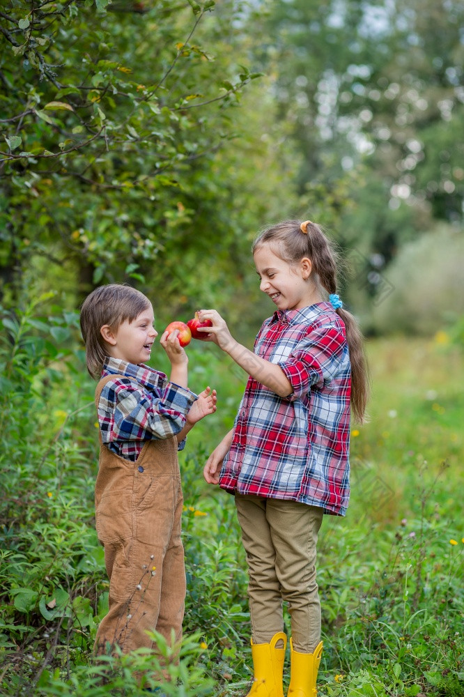 肖像哥哥和妹妹的花园与红色的苹果他们的手男孩和女孩是涉及到的秋天收获苹果肖像哥哥和妹妹的花园与红色的苹果他们的手