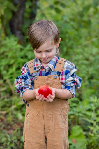 肖像一个可爱的男孩他的花园与红色的<strong>苹果</strong>情绪幸福食物秋天收获<strong>苹果</strong>批准手势股票照片肖像一个可爱的男孩他的花园与红色的<strong>苹果</strong>情绪幸福食物秋天收获<strong>苹果</strong>