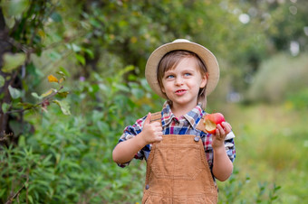 肖像一个可爱的男孩他的花园与红色的苹果<strong>情绪</strong>幸福食物秋天收获苹果批准手势股票照片肖像一个可爱的男孩他的花园与红色的苹果<strong>情绪</strong>幸福食物秋天收获苹果