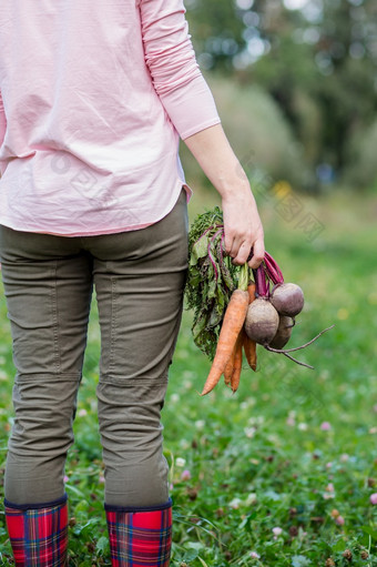 <strong>可爱</strong>的女孩持有胡萝卜和甜菜手只是收集的花园新鲜收获新鲜的<strong>蔬菜可爱</strong>的女孩持有胡萝卜和甜菜手只是收集的花园