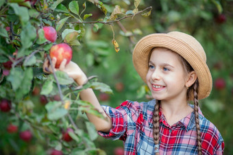 肖像可爱的女孩农场花园与红色的<strong>苹果</strong>秋天收获<strong>苹果</strong>肖像可爱的女孩农场花园与红色的<strong>苹果</strong>
