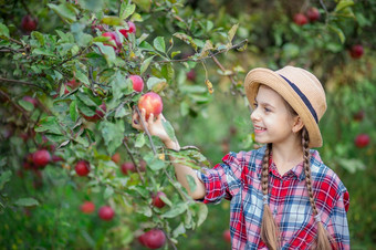 肖像可爱的女孩农场花园与红色的<strong>苹果</strong>秋天收获<strong>苹果</strong>肖像可爱的女孩农场花园与红色的<strong>苹果</strong>