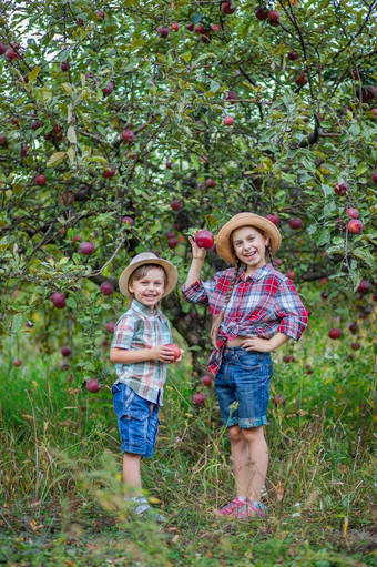 肖像<strong>哥哥</strong>和妹妹的花园与红色的苹果男孩和女孩是涉及到的秋天收获苹果肖像<strong>哥哥</strong>和妹妹的花园与红色的苹果