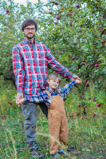 父亲和儿子的苹果<strong>果园</strong>快乐家庭家庭苹果挑选父亲和儿子的苹果<strong>果园</strong>快乐家庭