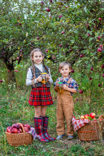 肖像哥哥和妹妹的花园与红色的苹果男孩和女孩是涉及到的秋天收获苹果肖像哥哥和妹妹的花园与红色的苹果