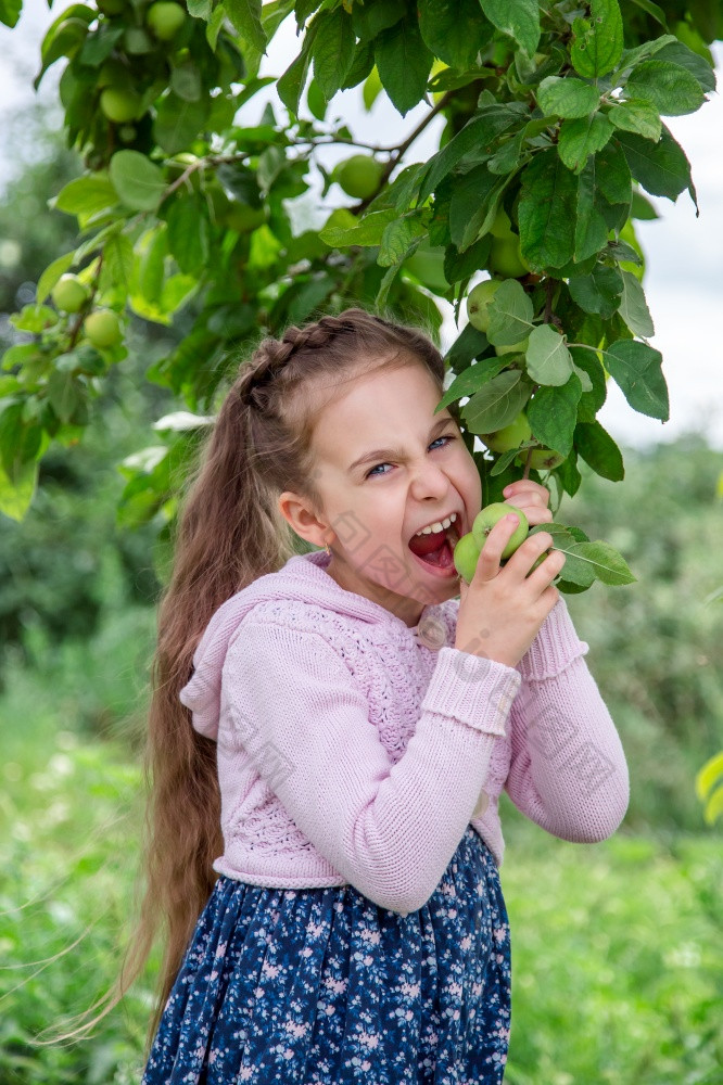 可爱的小女孩的分支机构苹果树夏天阳光明媚的一天收获苹果的花园可爱的小女孩的分支机构苹果树夏天阳光明媚的一天