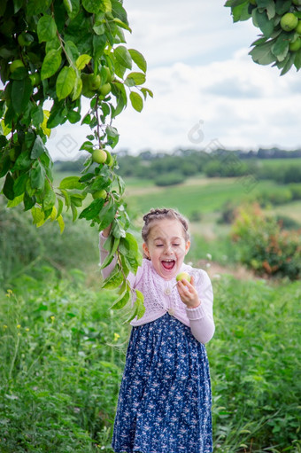 可爱的小女孩的分支机构苹果树夏天阳光明媚的一天收获苹果的花园可爱的小女孩的分支机构苹果树夏天阳光明媚的一天