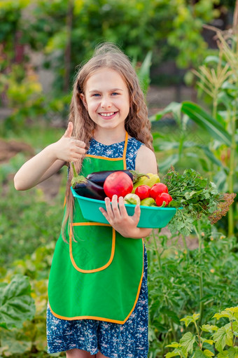 可爱的小女孩的<strong>花园</strong>与作物成熟的蔬菜的女孩收集作物成熟的有机西红柿的<strong>花园</strong>可爱的小女孩的<strong>花园</strong>与作物成熟的蔬菜的女孩收集作物成熟的西红柿的<strong>花园</strong>