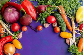 作文与生<strong>蔬菜</strong>西红柿辣椒胡萝卜茄子洋葱紫色的背景框架<strong>蔬菜</strong>复制空间为文本作文与生<strong>蔬菜</strong>紫色的背景框架<strong>蔬菜</strong>