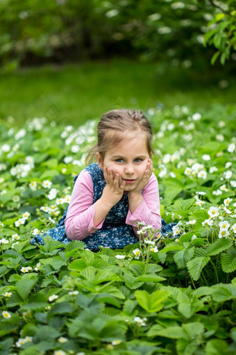 <strong>草莓</strong>flowerchild盛开的<strong>草莓</strong>绿色花园<strong>草莓</strong>flowerchild盛开的<strong>草莓</strong>