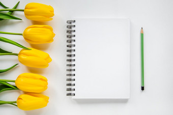 开放记事本铅笔和黄色的郁金香白色背景开放记事本铅笔和黄色的郁金香