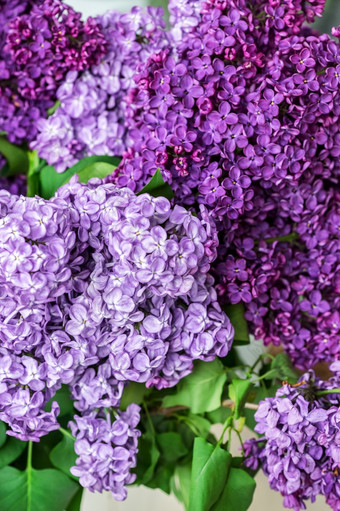 花束淡紫色特写镜头水晶花瓶花束淡紫色特写镜头