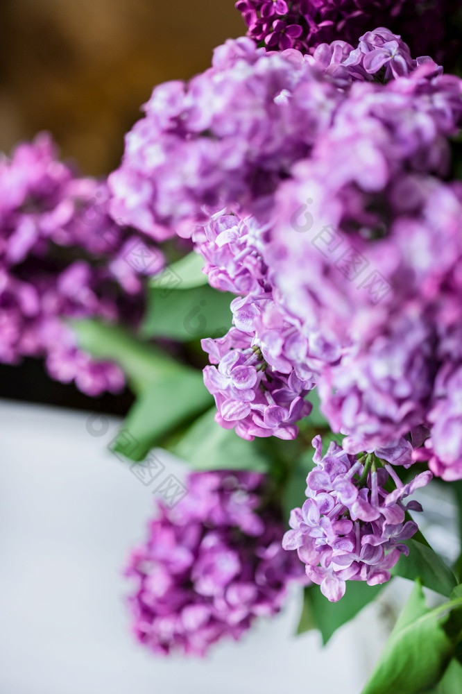 花束淡紫色特写镜头水晶花瓶花束淡紫色特写镜头