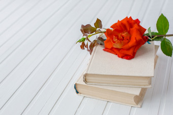 红色的玫瑰花在开放书白色木背景浪漫的和爱空间为你的消息红色的玫瑰花在开放书白色木背景