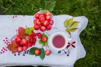 Herbal茶与柠檬<strong>和</strong>天堂苹果前视图白色木表格绿色<strong>和黄色</strong>的叶子<strong>红色</strong>的苹果茶的花园Herbal茶与柠檬<strong>和</strong>天堂苹果前视图白色木表格绿色<strong>和黄色</strong>的叶子<strong>红色</strong>的苹果