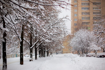 冬天景观的雪城市城市后暴风雪雪背景冬天景观的雪城市城市后暴风雪