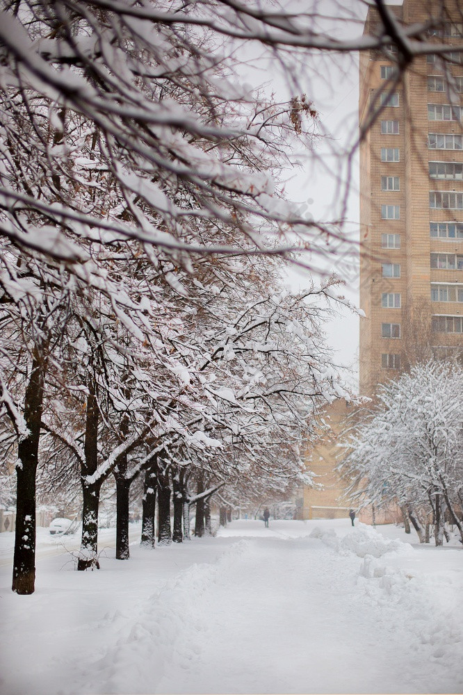 冬天景观的雪城市城市后暴风雪雪背景冬天景观的雪城市城市后暴风雪