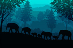 的大象的森林自然丛林绿色山地平线树景观壁纸日出和日落插图向量风格色彩斑斓的视图背景