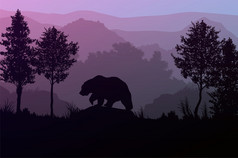 的熊的森林自然丛林绿色山地平线树景观壁纸日出和日落插图向量风格色彩斑斓的视图背景
