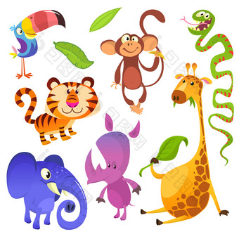 卡通热带动物字符野生卡通可爱的动物集合向量大集卡通丛林动物平向量插图巨嘴鸟猴子老虎蛇大象犀牛长颈鹿
