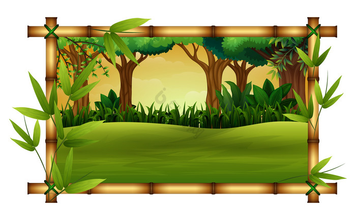 插图竹子树框架自然图片