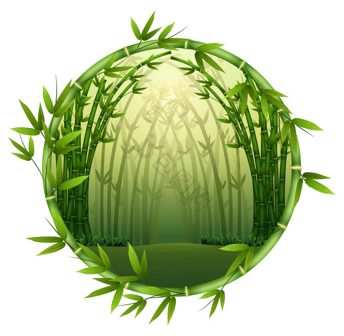 插图竹子树框架自然图片
