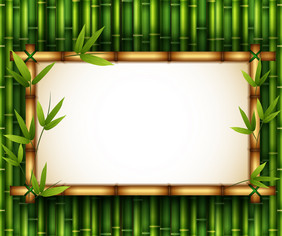 插图竹子树框架自然
