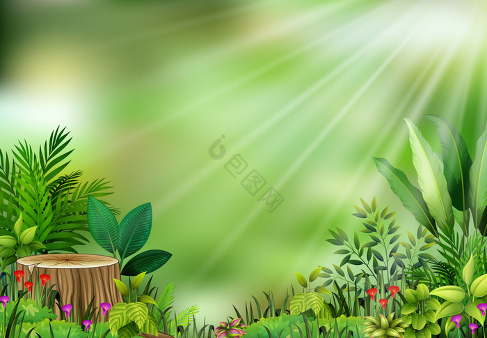 植物植物视图太阳光图片