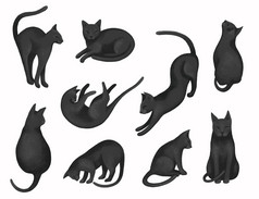 肉欲的集合美丽的黑色的猫不同的提出了孤立的白色背景精致的宠物集为各种各样的设计变形数字画