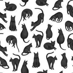 肉欲的无缝的模式美丽的黑色的猫不同的提出了白色背景精致的壁纸为各种各样的应用程序