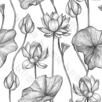 无缝的模式单色铅笔植物草图花手绘莲花白色背景古董风格植物壁纸为包装纸织物明信片海报等