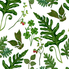 森林植物无缝的模式不同的类型野生植物白色背景色彩斑斓的植物壁纸现实的丙烯酸画古董风格