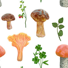 秋天森林无缝的模式不同的蘑菇和森林植物白色背景色彩斑斓的植物壁纸现实的丙烯酸画古董风格