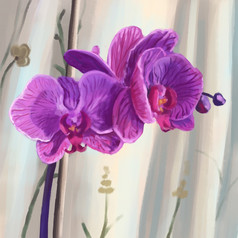 手画盛开的紫色的兰花插图数字绘画首页热带植物色彩斑斓的艺术图片石油绘画风格为卡打印海报擦背景贴纸壁纸