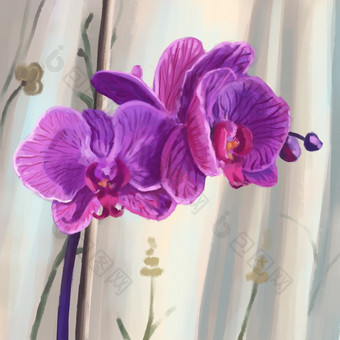 手画盛开的紫色的兰花插图数字绘画首页热带植物色彩斑斓的<strong>艺术图片</strong>石油绘画风格为卡打印海报擦背景贴纸壁纸