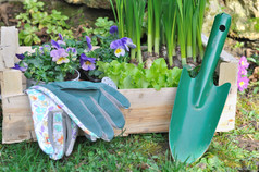 春天花和生菜与园艺工具