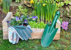 铲和园艺手套与花和生菜箱