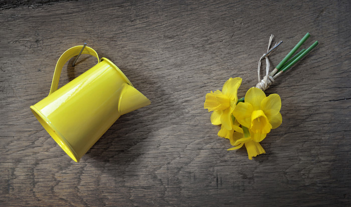 小花束水仙花和黄色的可以挂木董事会