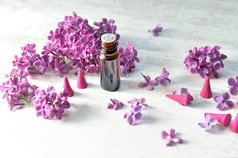 瓶至关重要的石油和香与紫色的淡紫色花背景