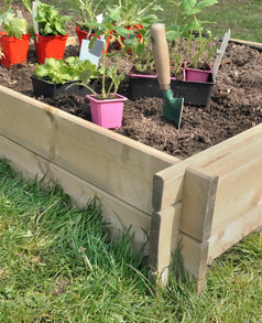 小广场蔬菜花园完成与板材和幼苗准备好了植物