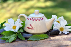 漂亮的茶壶在新鲜的薄荷叶和白色花木表格花园