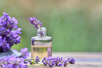 关闭紫色的薰衣草花瓶至关重要的石油表格花园关闭紫色的薰衣草花瓶至关重要的石油表格