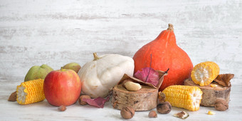 各种各样的和色彩斑斓的秋天的蔬菜和水果与结实的矮玉米减少成块各种各样的和色彩斑斓的秋天的蔬菜和水果