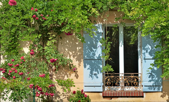 蓝色的关闭窗口房子外观覆盖与玫瑰攀爬窗户外观覆盖与攀爬植物
