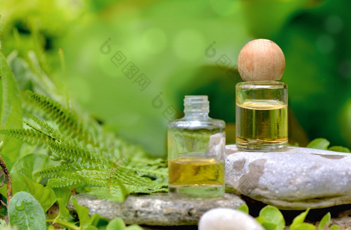 至关重要的石油瓶石头蕨类植物树叶和模糊散景背景瓶至关重要的油石头在绿色植物