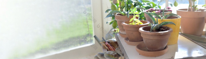 盆栽植物小表格和园艺设备温室全景视图盆栽植物小表格和园艺设备温室
