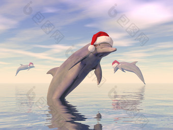 三个海豚<strong>庆祝</strong>圣诞节的海洋一天渲染海豚<strong>庆祝</strong>圣诞节的海洋渲染